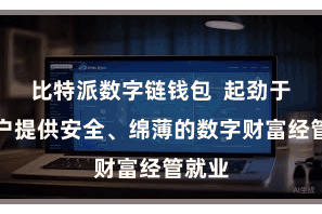 比特派数字链钱包 起劲于为用户提供安全、绵薄的数字财富经管就业
