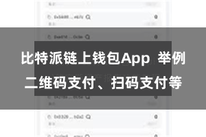 比特派链上钱包App  举例二维码支付、扫码支付等