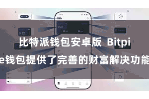比特派钱包安卓版  Bitpie钱包提供了完善的财富解决功能