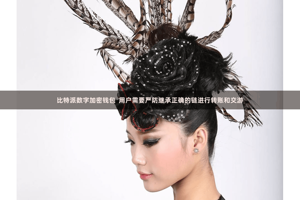 比特派数字加密钱包  用户需要严防继承正确的链进行转账和交游