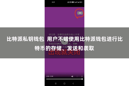 比特派私钥钱包  用户不错使用比特派钱包进行比特币的存储、发送和袭取