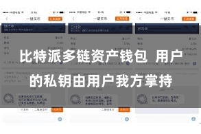比特派多链资产钱包  用户的私钥由用户我方掌持