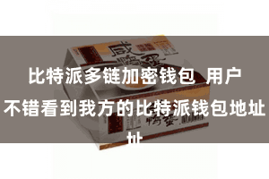 比特派多链加密钱包  用户不错看到我方的比特派钱包地址