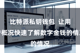 比特派私钥钱包  让用户概况快速了解数字金钱的情况