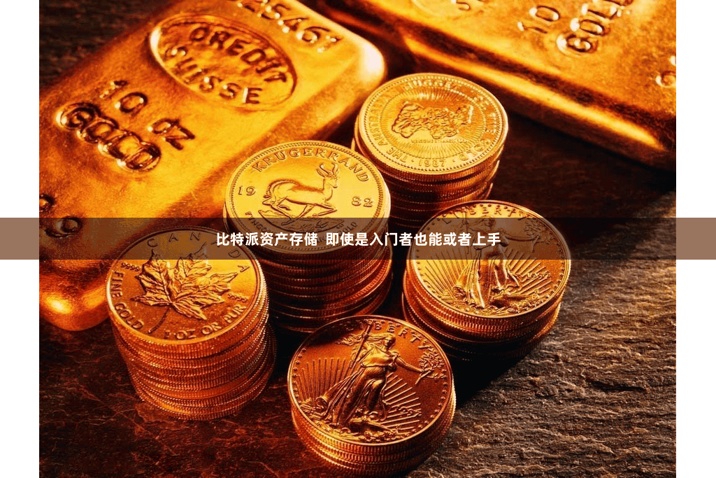 比特派资产存储  即使是入门者也能或者上手