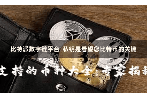 比特派数字链平台  私钥是看望您比特币的关键