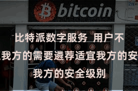 比特派数字服务  用户不错凭证我方的需要遴荐适宜我方的安全级别