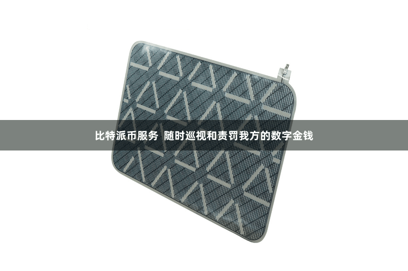 比特派币服务 随时巡视和责罚我方的数字金钱