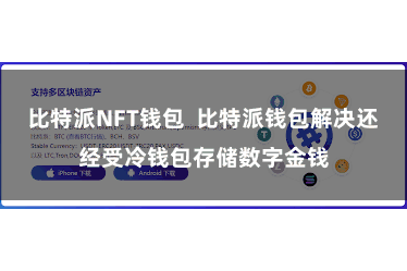 比特派NFT钱包  比特派钱包解决还经受冷钱包存储数字金钱