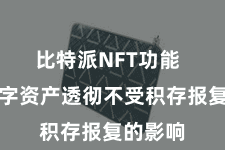 比特派NFT功能  确保数字资产透彻不受积存报复的影响
