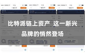 比特派链上资产  这一新兴品牌的悄然登场
